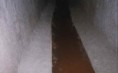 /album/servicios/asi-jpg/