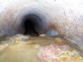 /album/servicios/atasco1-jpg/